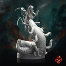 Queen Medusa