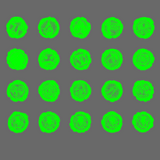 Space Orcs OPR Tokens - Only-Games