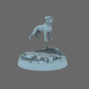 CT Pound Patrol Boxer Canine Specialist, Ranger - Only-Games