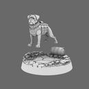 CT Pound Patrol Boxer Canine Tactical Specialist, Ranger - Only-Games