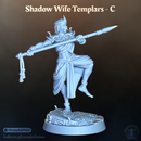 Shadow Wife Templar - C (Female Rogue)
