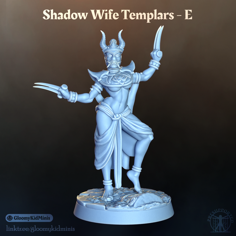 Shadow Wife Templar - E (Female Rogue)