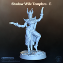 Shadow Wife Templar - E (Female Rogue)