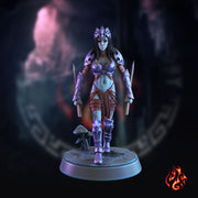 Dark Elf Shadowblades - Only-Games