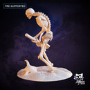 Skeleton Pikeman B - Only-Games