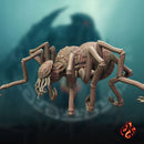 Spider of Leng