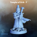 Templar of Urik - F