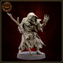 Undead Viking Draugr Wizard Shaman