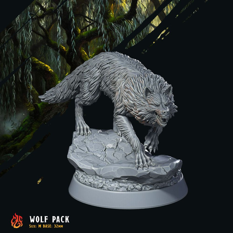 Forest Wolves