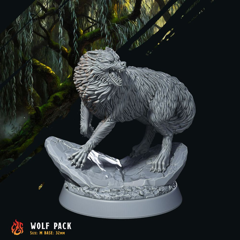 Forest Wolves