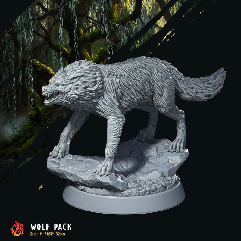 Forest Wolves