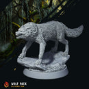 Forest Wolves