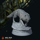 Forest Wolves