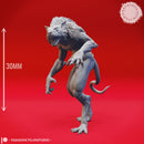 Wererat - Feral - Tabletop Miniatures (Pre-Supported)