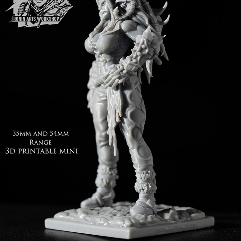 Pirate Brawler Ajani - Only-Games