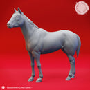 Horses and Unicorns - Tabletop Props (Pre-Supported)