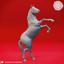 Horses and Unicorns - Tabletop Props (Pre-Supported)