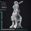 Anti Paladin - Long Blade - PRESUPPORTED - Hell Hath No Fury - 32mm scale