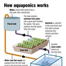 Modular Aquaponics Setup