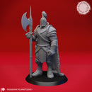 Armored Fighter - Tabletop Miniature