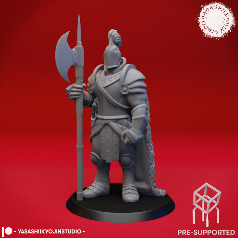 Armored Fighter - Tabletop Miniature (Pre-Supported)