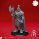 Armored Fighter - Tabletop Miniature (Pre-Supported)