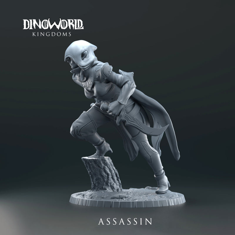 Elf assassin - Only-Games