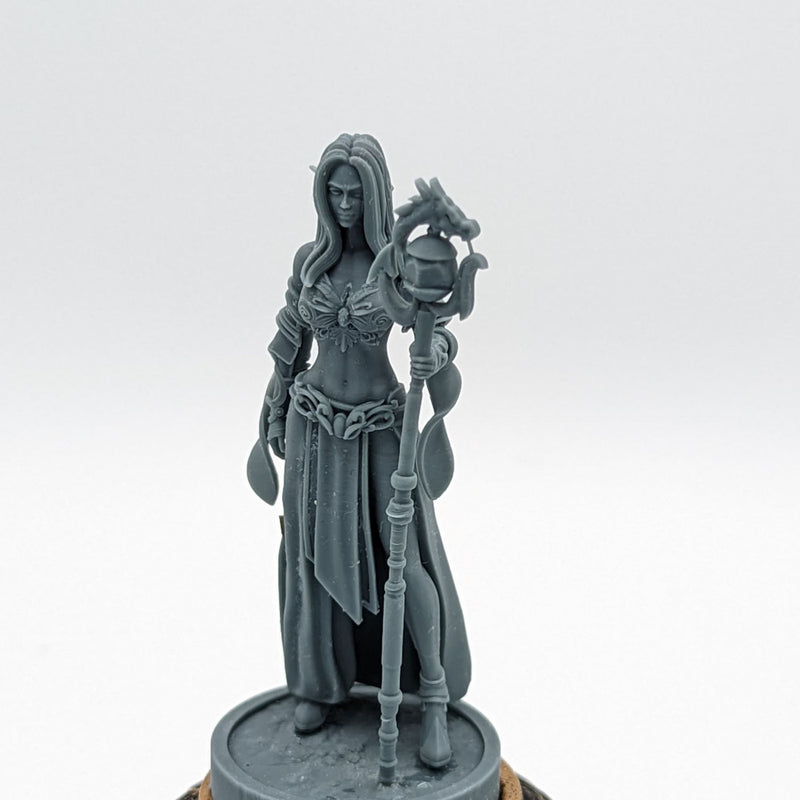 Elf Sorcerer Aurora - Elf Sorcerer Mage Sorcerer - 75mm + 35mm Scale