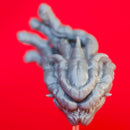 Diving Beholder - Book of Beasts - Tabletop Miniature (Pre-Supported)