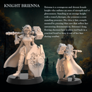 Paladin Knight Brienna -   Paladin Knight Shield Knight Paladin  - 32mm - Heroic scale