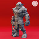 Bugbear Warband - Book of Beasts - Tabletop Miniatures (Pre-Supported)