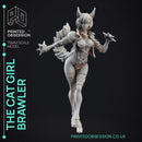 Cat Girl Brawler - Cute Desktop Girl - 120mm