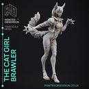 Cat Girl Brawler - Cute Desktop Girl - 120mm