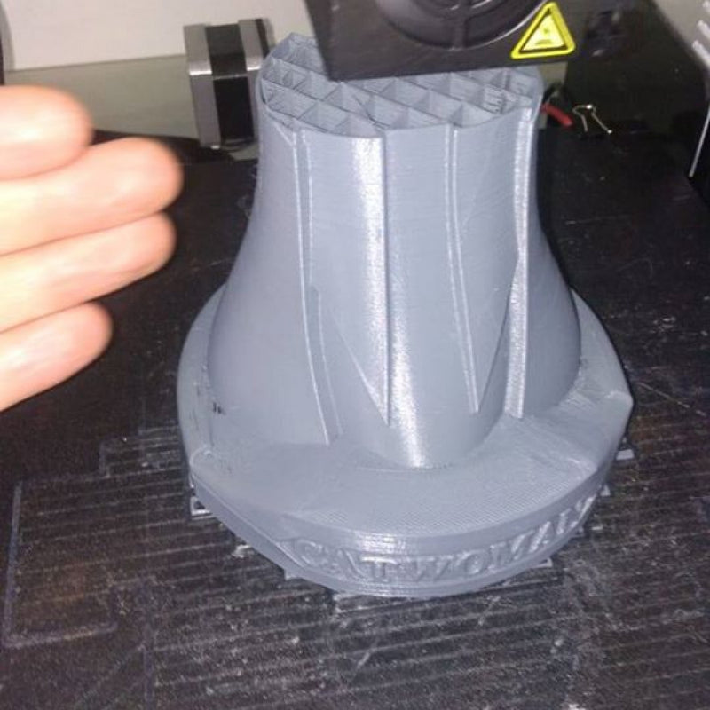 3D model Bust STL-OBJ - Catwoman from Batman (DC Comics) 3D Model Fanart version CG Pyro