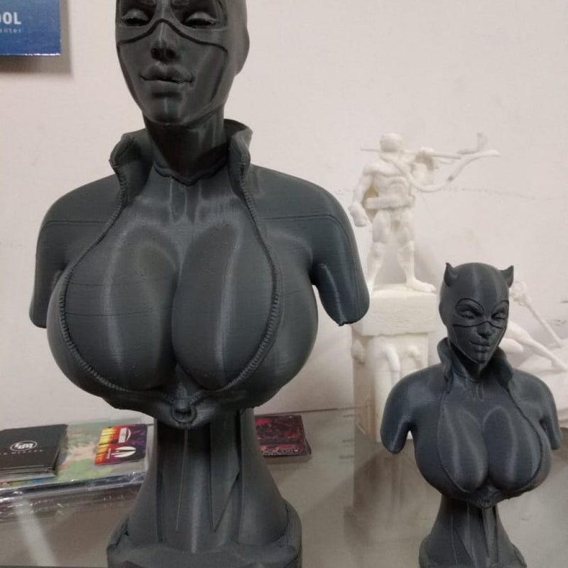 3D model Bust STL-OBJ - Catwoman from Batman (DC Comics) 3D Model Fanart version CG Pyro