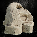Magic Cauldron - Witch Hut Prop STL for DnD & Wargaming