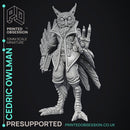 Owlman - Frindly NPC - Cryptids of the Darkwoods -  PRESUPPORTED - Illustrated and Stats - 32mm scale