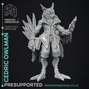 Owlman - Frindly NPC - Cryptids of the Darkwoods -  PRESUPPORTED - Illustrated and Stats - 32mm scale