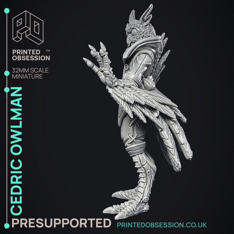 Owlman - Frindly NPC - Cryptids of the Darkwoods -  PRESUPPORTED - Illustrated and Stats - 32mm scale