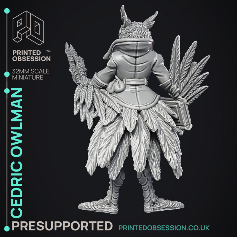 Owlman - Frindly NPC - Cryptids of the Darkwoods -  PRESUPPORTED - Illustrated and Stats - 32mm scale