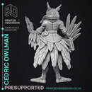 Owlman - Frindly NPC - Cryptids of the Darkwoods -  PRESUPPORTED - Illustrated and Stats - 32mm scale