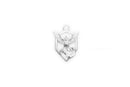 Pokemon Go : Team Mystic Pendant