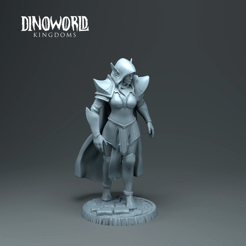 Dark elf heroe - Only-Games