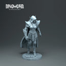 Dark elf heroe - Only-Games