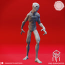 Doppelganger True Form - Tabletop Miniature (Pre-Supported)