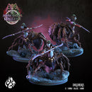 Drider