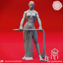 Eclipse of Drow - Tabletop Miniatures (Pre-Supported)