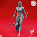 Eclipse of Drow - Tabletop Miniatures (Pre-Supported)