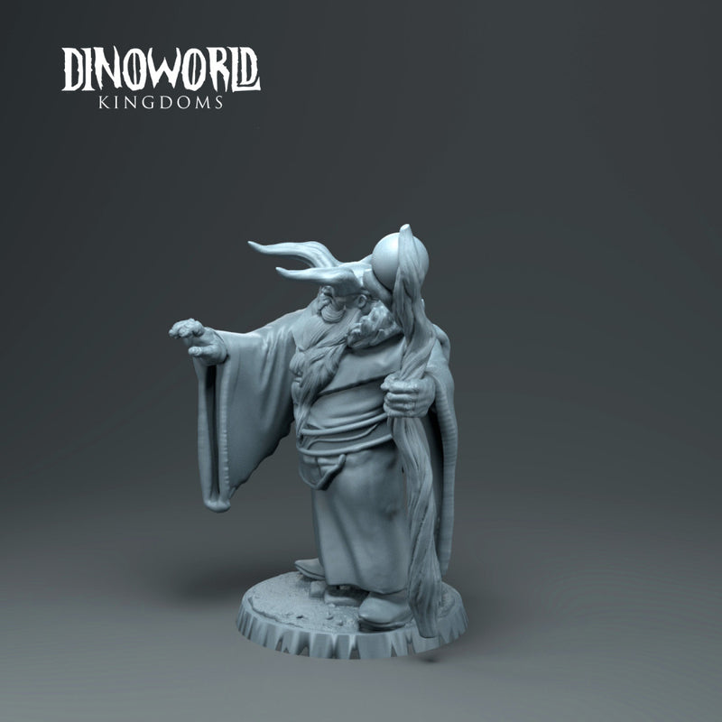 Dwarft druid - Only-Games