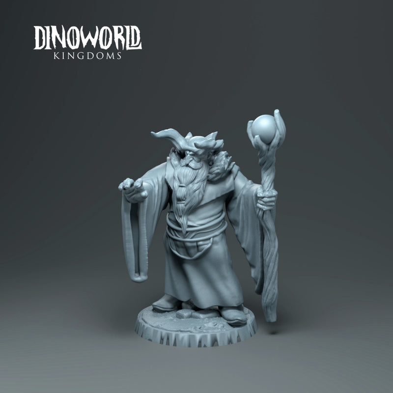 Dwarft druid - Only-Games
